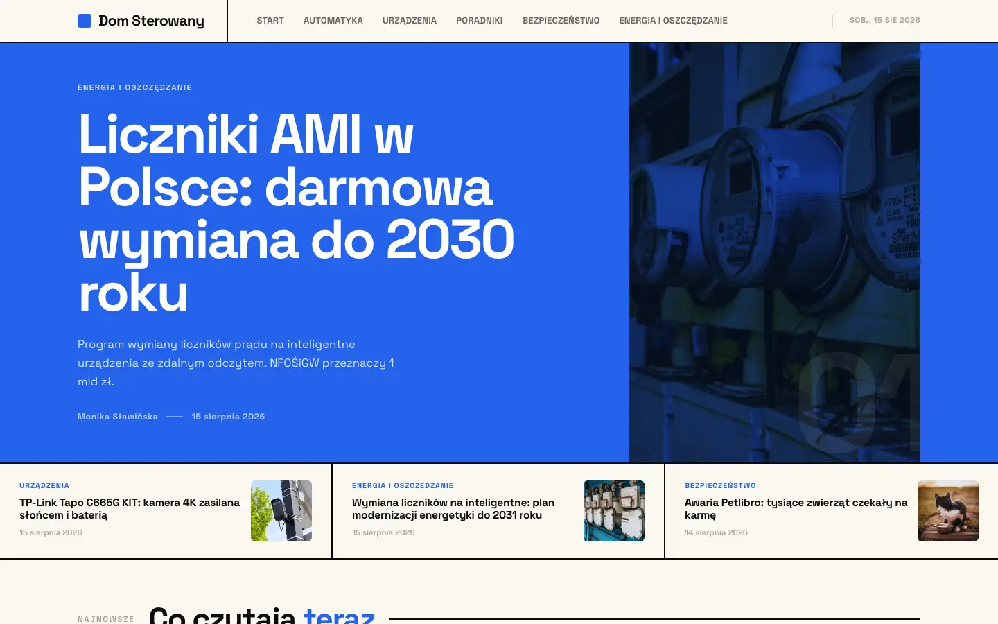 Zrzut ekranu strony domsterowany.pl